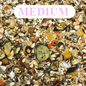 Midium Parrot Mix